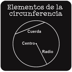 Circunferencia y Círculo: Elementos y propiedades.